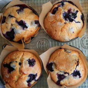 Chelsea's Blueberry Muffins